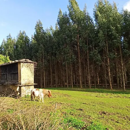 Rio Pedroso A San Pedro de Viveiro